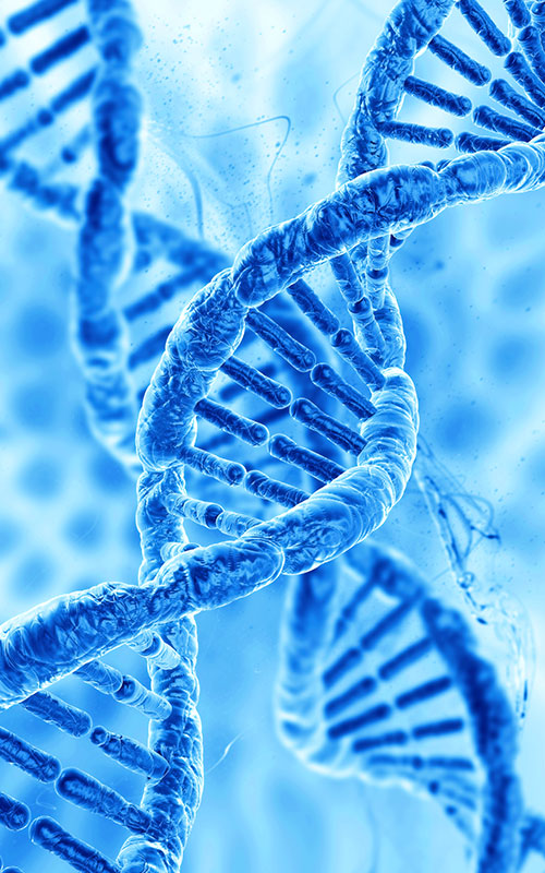 Anhua Bio лансира PDRN производ: реконструкција на глобалниот синџир на снабдување на суровини за регенерација на ткива со синтетичка биологија